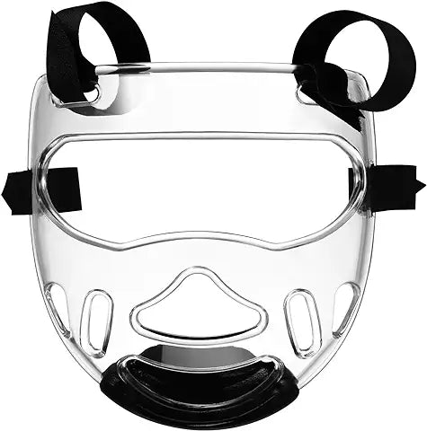 Face Shield